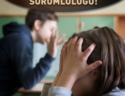 GÜVENLİ OKULLAR İÇİN ORTAK SORUMLULUK ÇAĞRISI