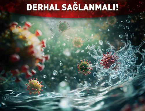 Yaz Başladı: Halk Sağlığı İçin Plaj ve Havuz Güvenliği Derhâl Sağlanmalı!